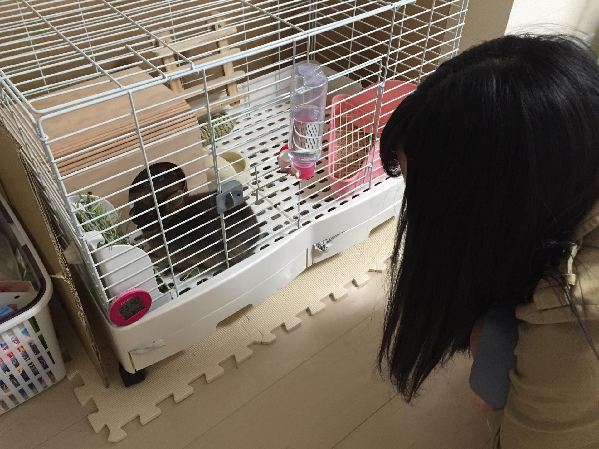 AKB48~Google+2267YouTube>8{ ->摜>885 