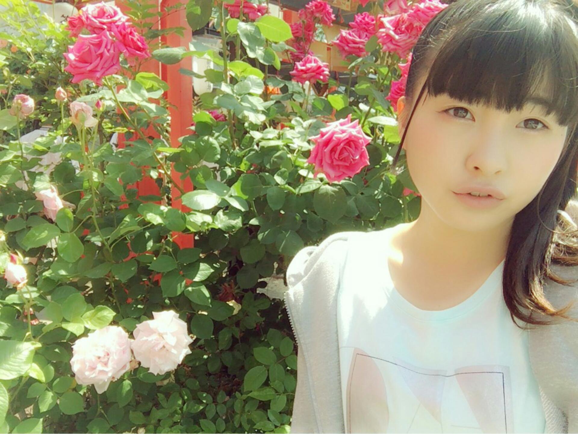 AKB48~Google+2276YouTube>3{ ->摜>705 