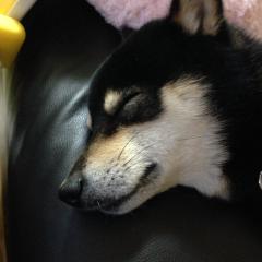 やす