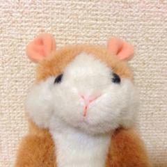 斎藤