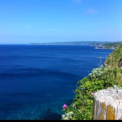 ネットビジネス(仮)