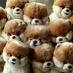 あかりのトーク