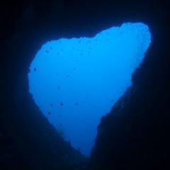 海の中が大好きな人ぉ(｡-ω-)ﾉ集まれぇー♪