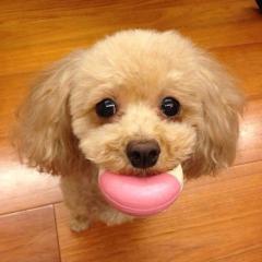 はるるん☆