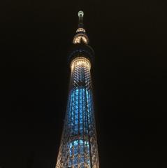 wordpressでサイト作成、アフィリエイト、アドセンス