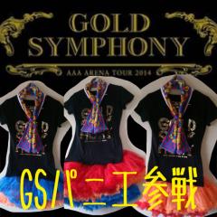 GSパニエ参戦【パニエスト】