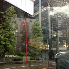 梅雨って感じですね。