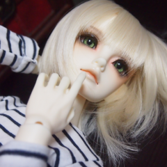 オタクライフ真っ盛り