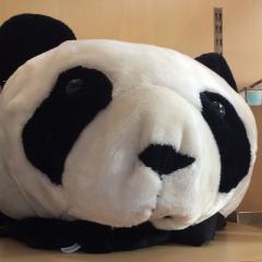 成功回避不可能な秘密活動部屋