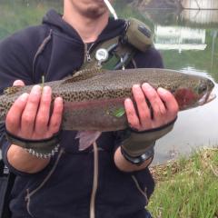 はじめまして〜