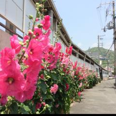 iPhone関連でトークしていこうかな。