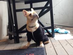 ロックが好き！お洒落が好き！仲間探してます〜