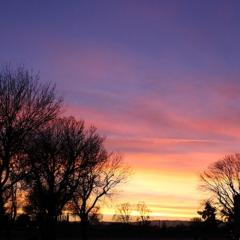 男ってどんな思考？