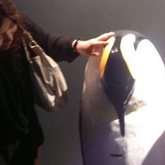 ひかわのトーク