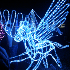 プー子   三重県