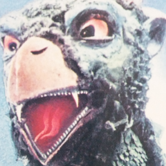 「親の介護」はもう嫌だ～！