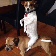 心ウゴク動画☻