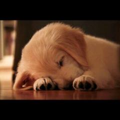 適当にくっちゃべる部屋