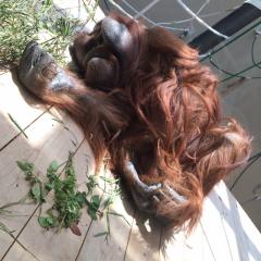 福岡市のお勧めスポットは？