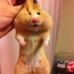 竹ちゃんマンの暇つぶし