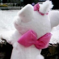 ちびかにゃroom ₍˄·͈༝·͈˄₎◞ ̑̑ෆ⃛