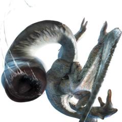 フルフル