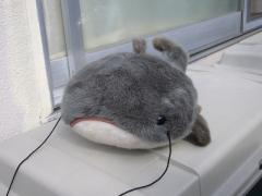 ちんゆ