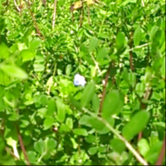 バツ１。浮上します。