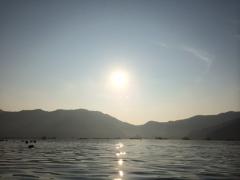 ここに一匹の魚があります。