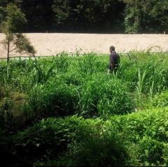 アベタク@ブラック