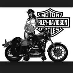 ハーレー好きな755