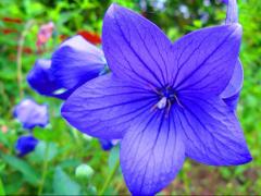 独り言独壇場！