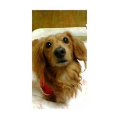 れおんのトーク