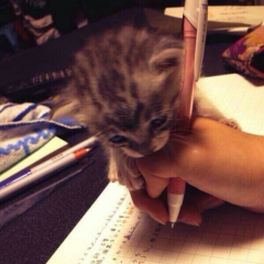 あすかのトーク