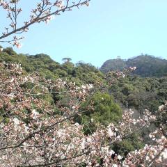 Lennon311のトーク