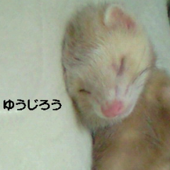 けんと