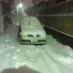 やしんのトーク