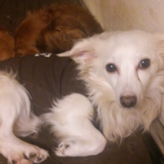 キッカーのトーク