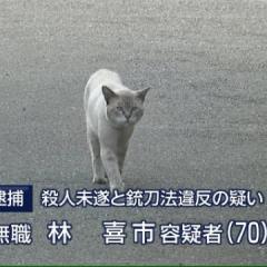 amihsot416のトーク