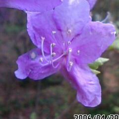 あっちゃんのトーク