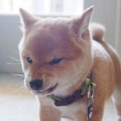 ひで