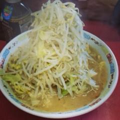 未定