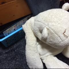 力也