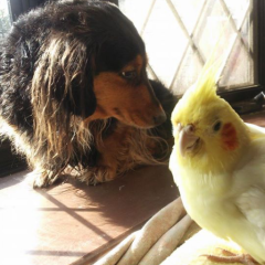 メガネが似合うプリティーなおじさん