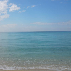 たくぼんのトーク