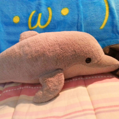 りょうた@ポチ(^・エ・)