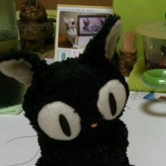 コムたんのトーク