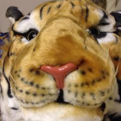 あんずのトーク