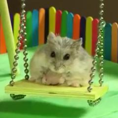 ゆーすけのトーク