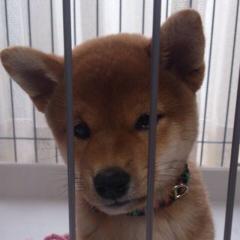 ちはるんのトーク